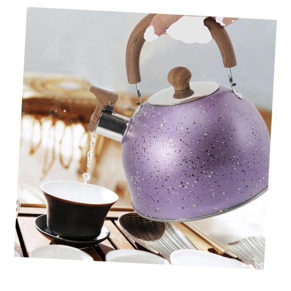 Berlinger Haus 3L Stainless Steel Whistling Kettle – Purple Eclipse Collection – Induction-Compatible