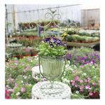Vintage Metal “Welcome” Plant Stand – 55 cm Tall Basket Pot Holder for Garden & Porch