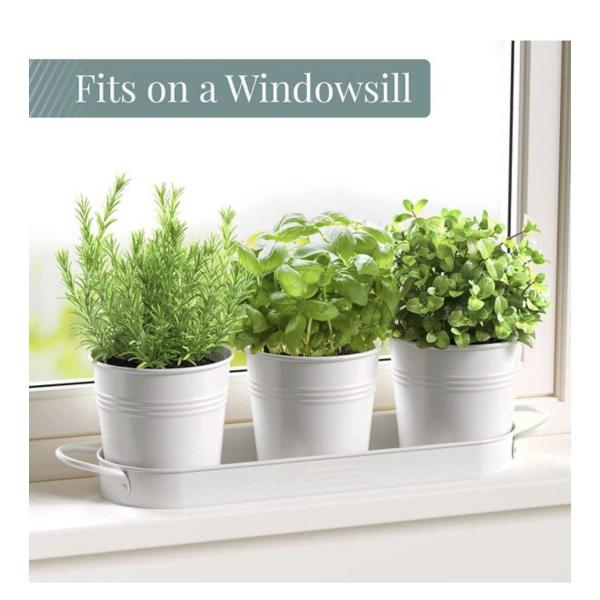 Kitchen Window Herb Garden Planter (3-Pack with Tray)