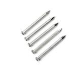 P. Piper 75mm Concrete Nails – 100 Pack