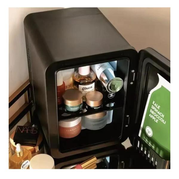 oldair GMR-400 4L Mini Portable Fridge – Compact, Dual-Power Cooler for Home, Office & Travel
