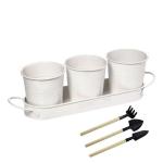 Kitchen Window Herb Garden Planter (3-Pack with Tray)